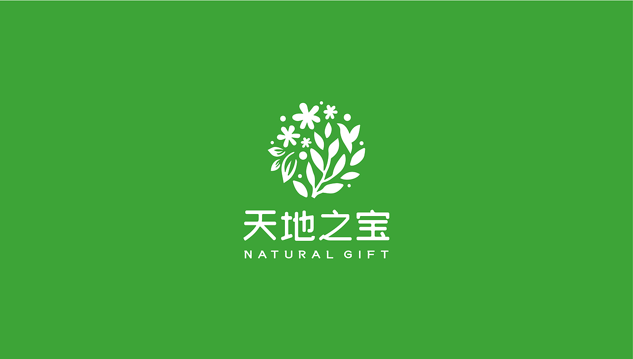 天地之宝 / 天然有机食品品牌设计