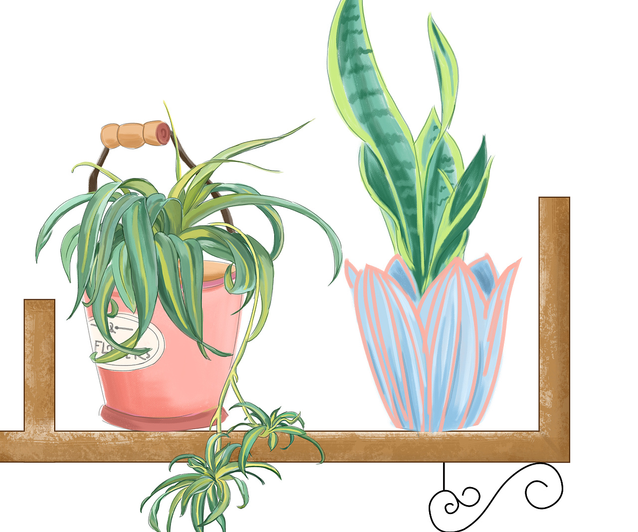 水彩植物盆栽|插画|商业插画|贝吉塔糖双 - 原创作品 - 站酷 (zcool)