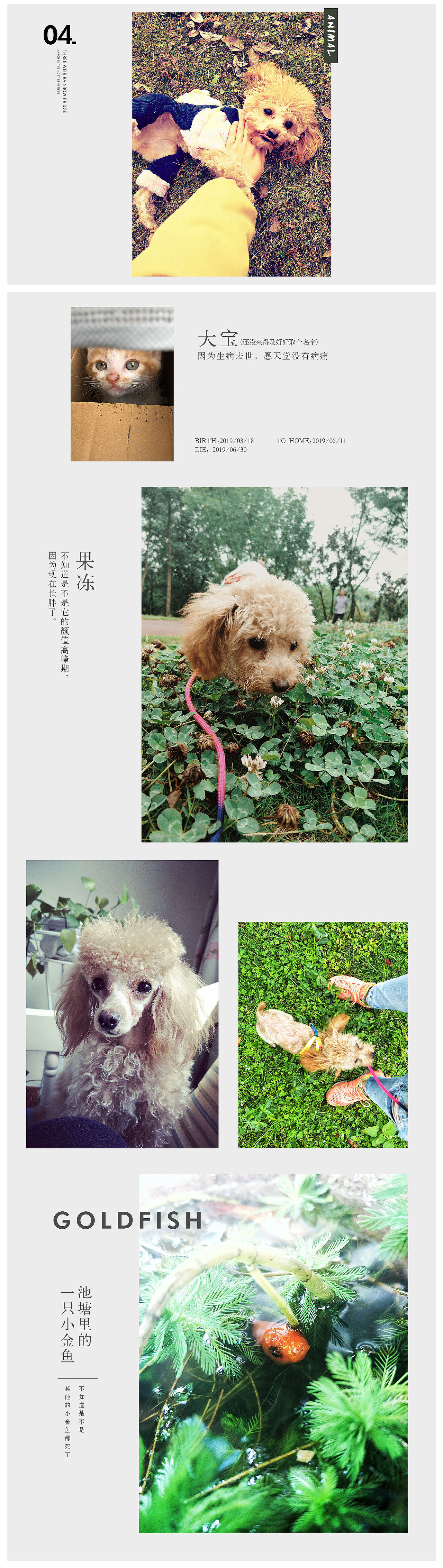 有点摄影小爱好没什么