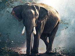 闲来无事做个图