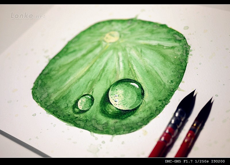 试画水彩荷叶露珠