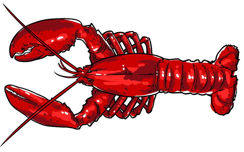 真能扒虾（鸭货 辣货产品插画）（图ZMTI3ODQ4MDI4） - 商业插画 - 站酷设计师犀利小葱聪原创素材 - 站酷ZCOOL