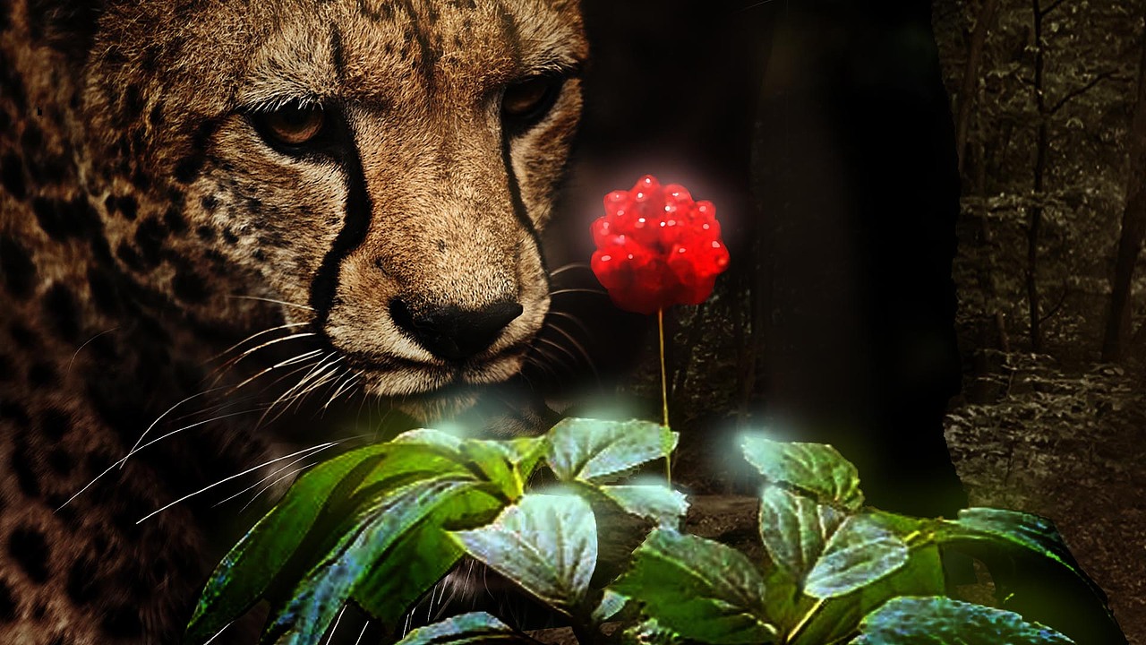 分镜气氛图（图ZMTMxNDU2MDQ0） - 设定/分镜 - 站酷设计师冰川斜阳原创素材 - 站酷ZCOOL