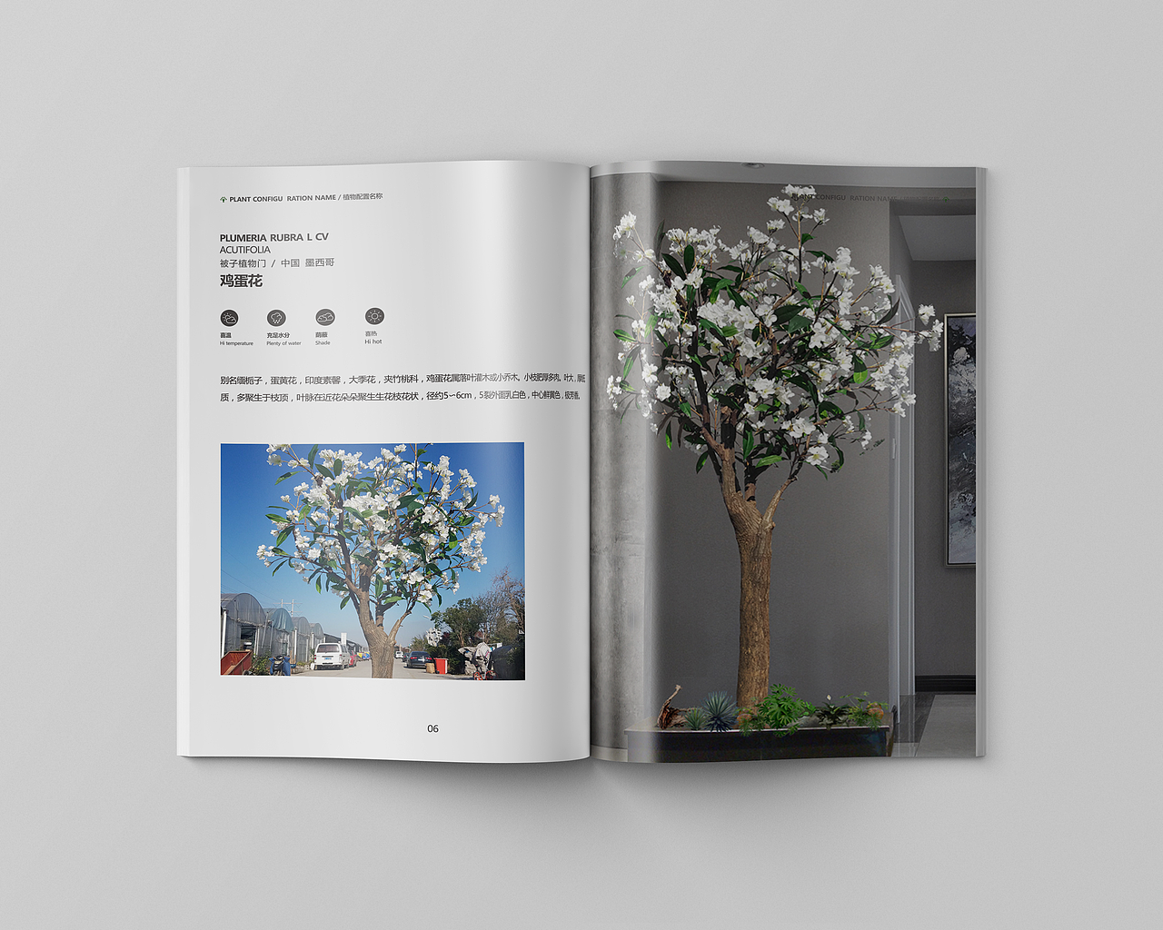 景观植物配置（图ZOTM4OTE5NzI=） - 书籍/画册 - 站酷设计师黄黄黄黄家胜原创素材 - 站酷ZCOOL