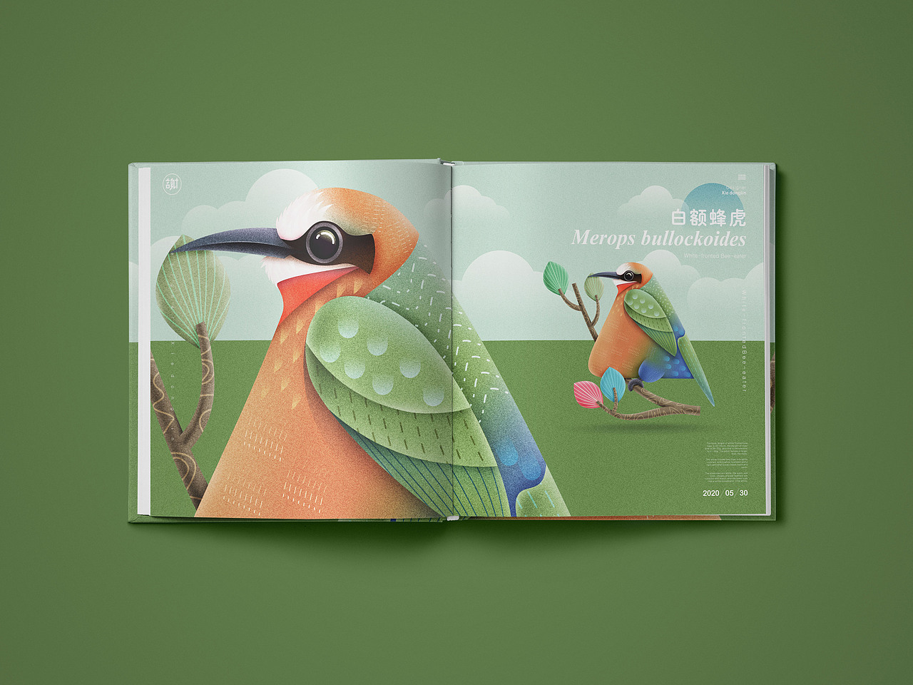 鸟儿（图ZMjEwNTYzNDQw） - 绘本 - 站酷设计师言身寸言身寸原创素材 - 站酷ZCOOL