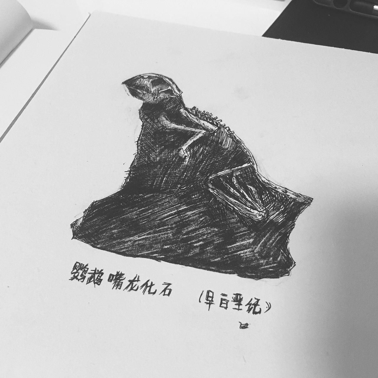 一本书 牙齿艺术（图ZMjAyNzQ5NTg4） - 艺术插画 - 站酷设计师陈煖灵原创素材 - 站酷ZCOOL