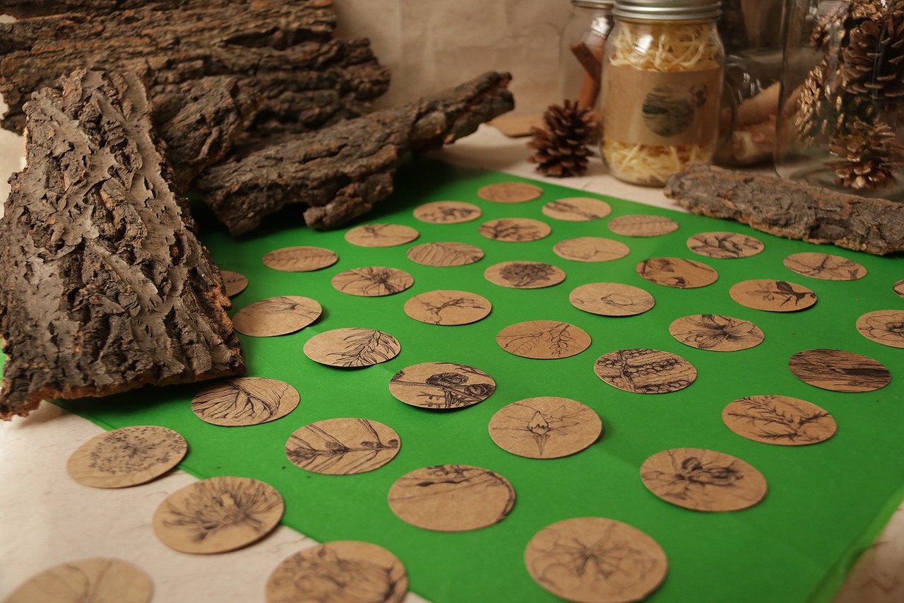 中国濒临树种档案 ｜手工制作书籍（图ZMTIwNzQ2MzE2） - 书籍/画册 - 站酷设计师Cq_H原创素材 - 站酷ZCOOL