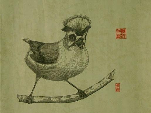 我画的【百鸟绘】之一（个人主页-ZNDg1OTkzODg=） - 绘画 - 站酷设计师6黄柱成9原创素材 - 站酷ZCOOL