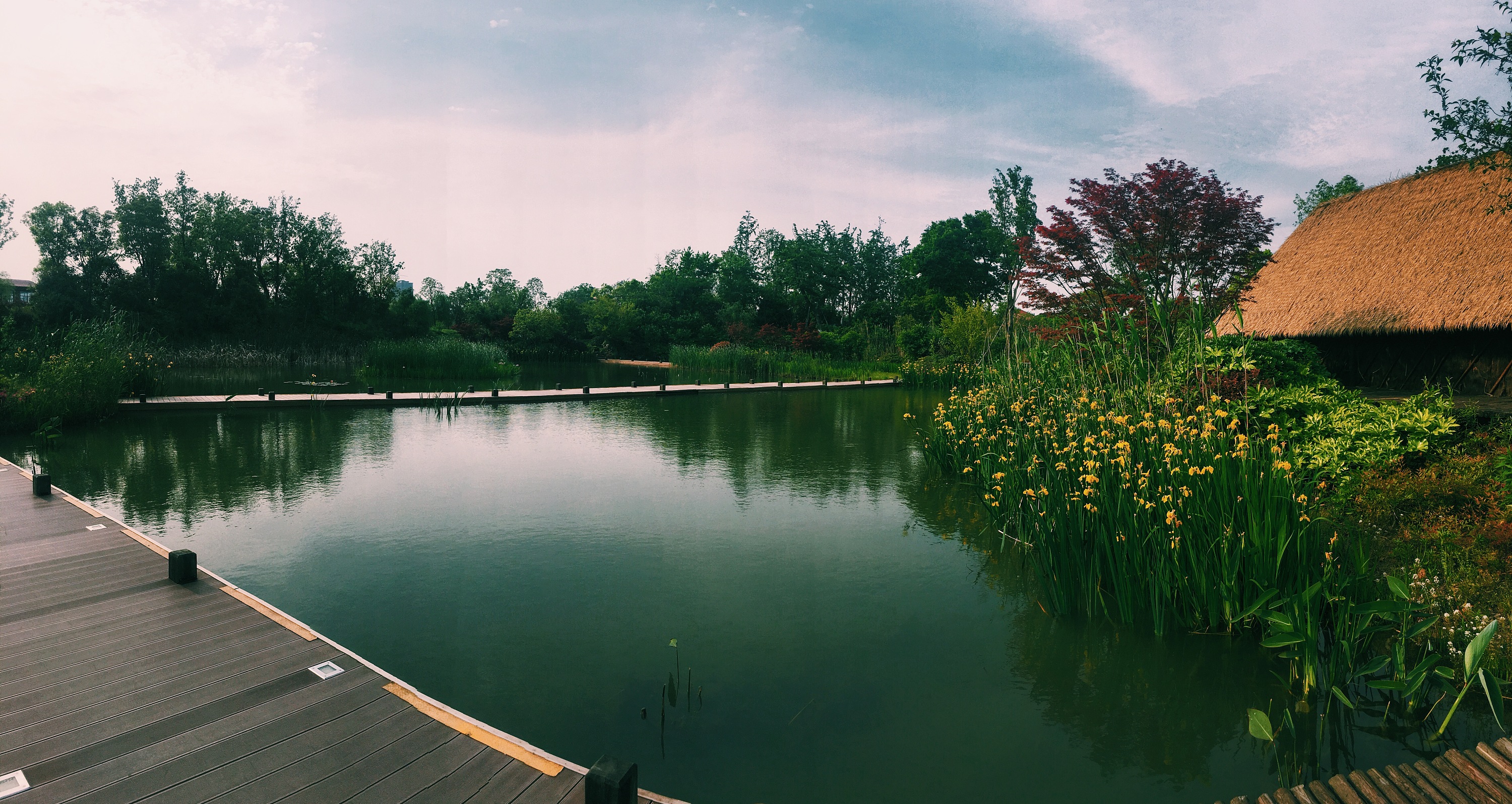 湿地公园|摄影|风光|托尼酱的小站 - 原创作品 - 站酷 (zcool)