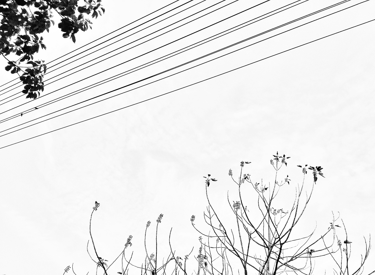 时间：2014-12-22
地点：长沙（购物回家的小路边）