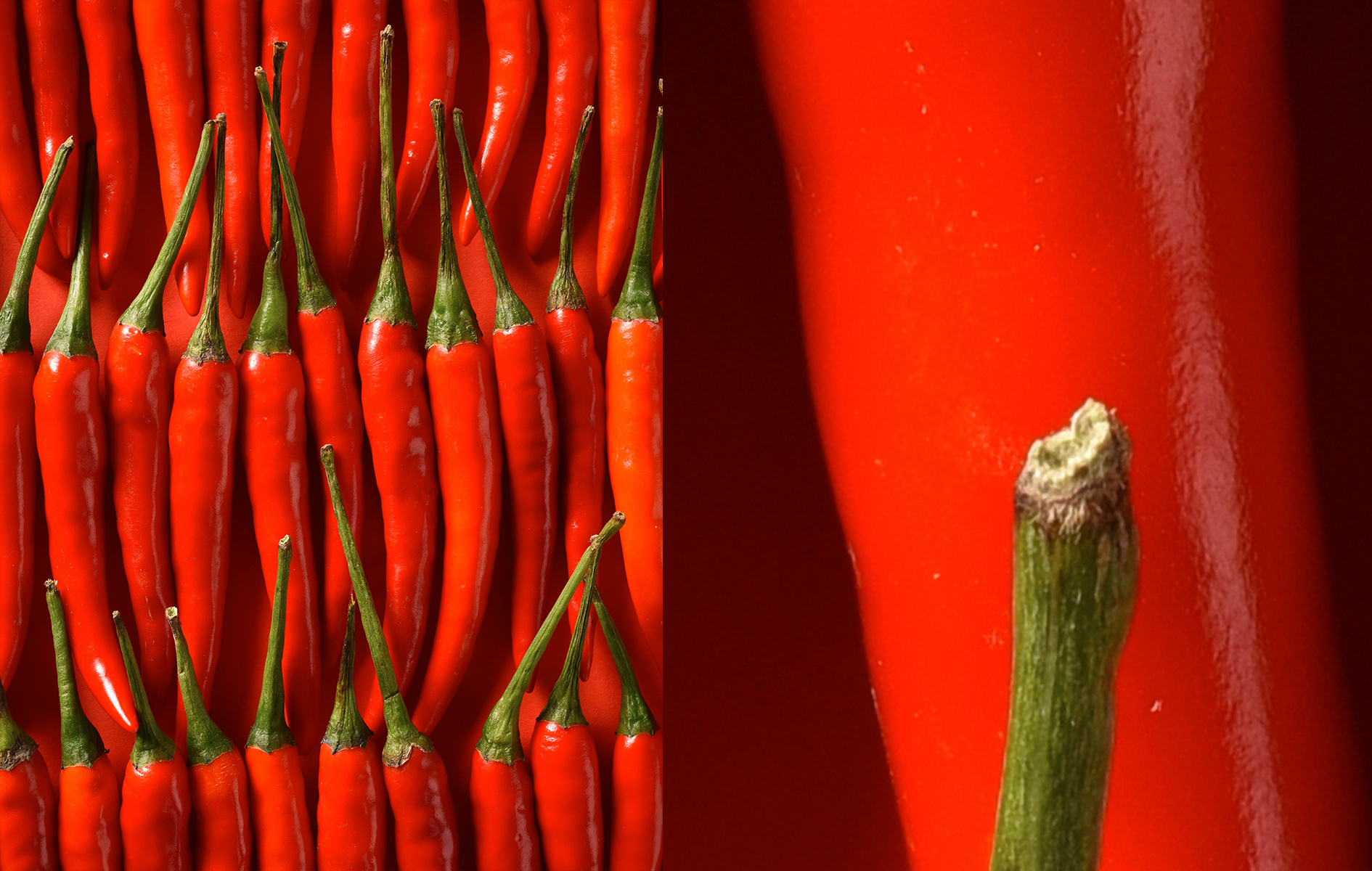 密集重复|摄影|静物|widegoimage - 原创作品 - 站酷 (zcool)