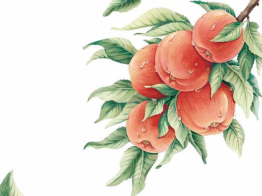 苹果插画