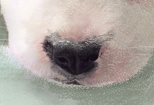 几幅写实风尝试|肝脑涂喵……还有狗叽（图ZMjAyNDYyNDE2） - 艺术插画 - 站酷设计师Tusan了了原创素材 - 站酷ZCOOL