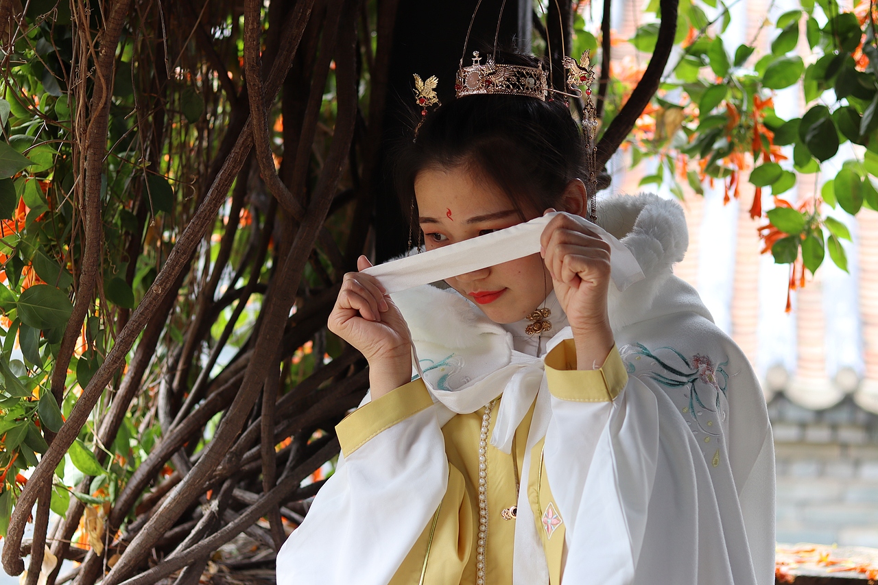有女同车,颜如舜华。。