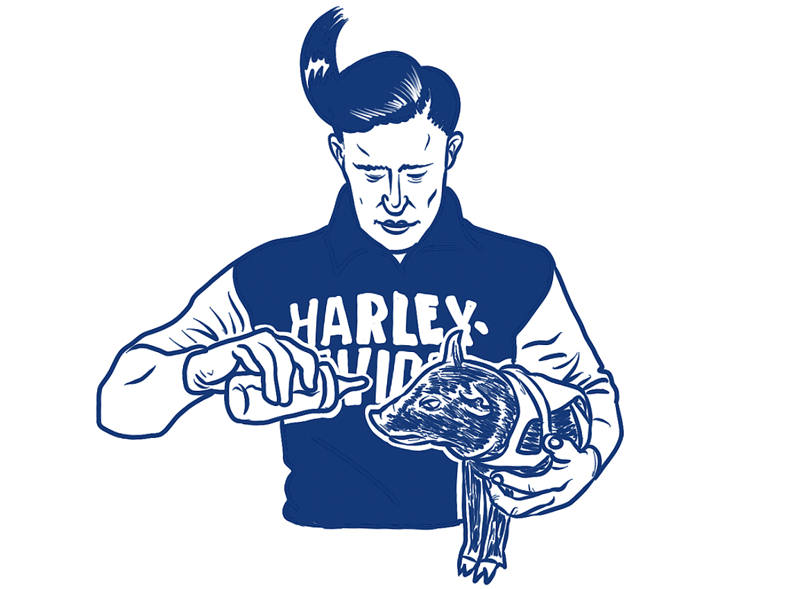 《哈雷传奇》公众号插图