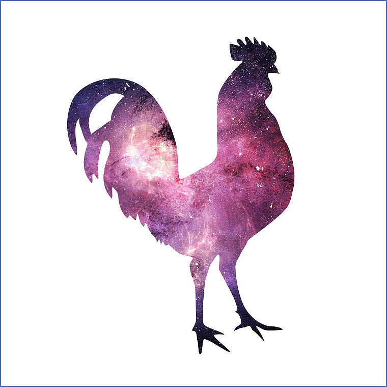 18个动物星空重叠图形妙趣