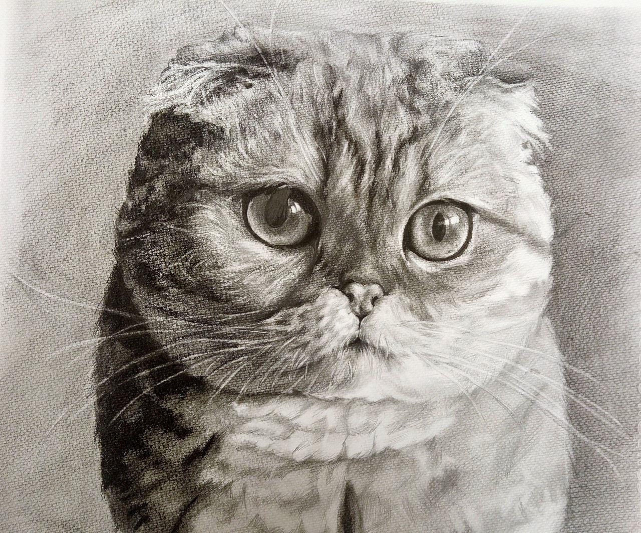 精细描绘|纯艺术|绘画|zy小梦想家 - 原创作品 - 站酷 (zcool)