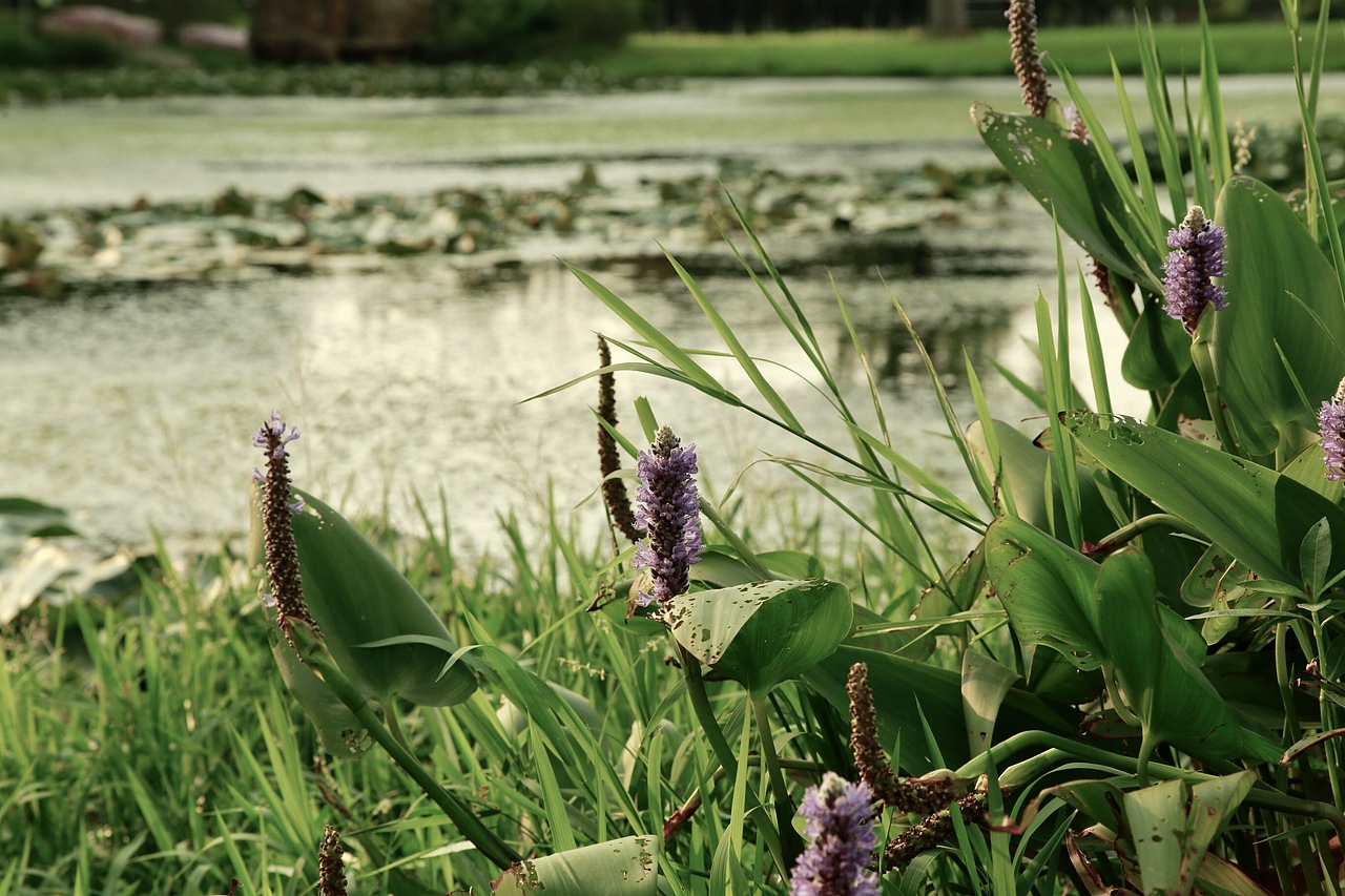 秋天也是生机勃勃的季节