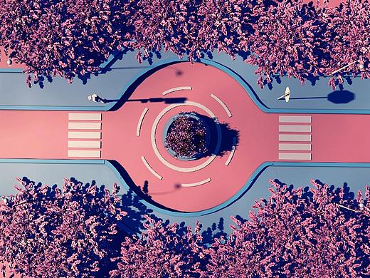 C4D