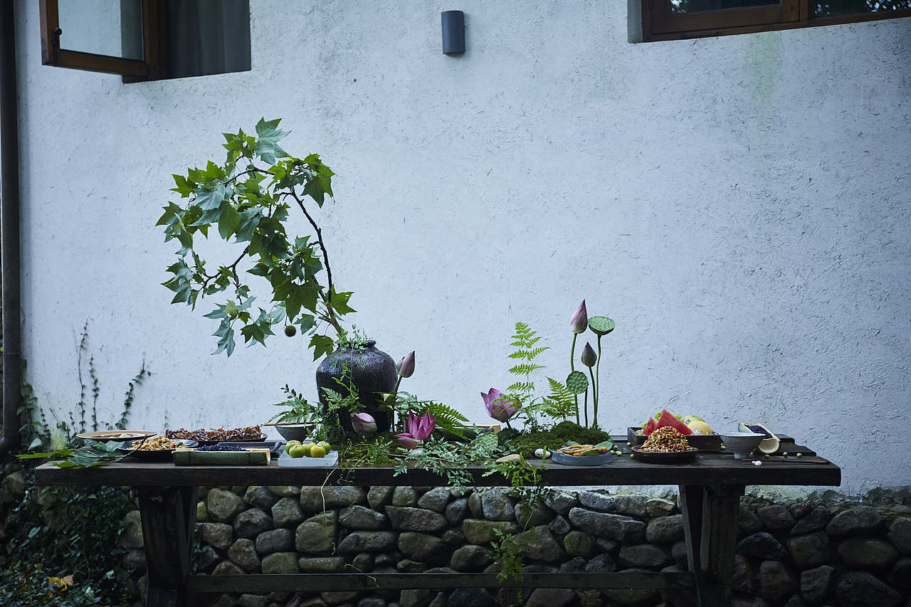 夏日终曲｜山林之味（图ZMjY1NTc5MDMy） - 美食摄影 - 站酷设计师梅食间原创素材 - 站酷ZCOOL