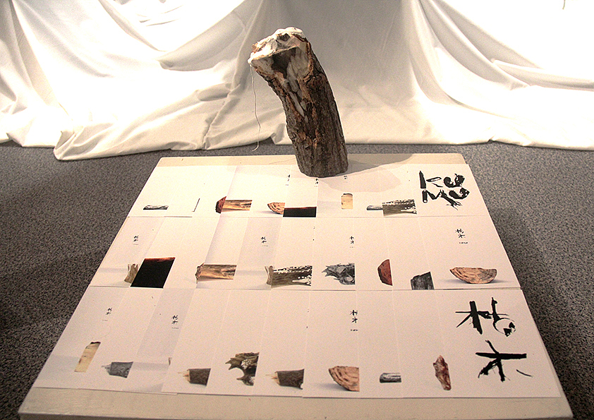 《枯木》 苏州大学艺术学院 田科化 #青春答卷2014#（图ZMTcxMTk2NDQ=） - 其他平面 - 站酷设计师吕禾人原创素材 - 站酷ZCOOL