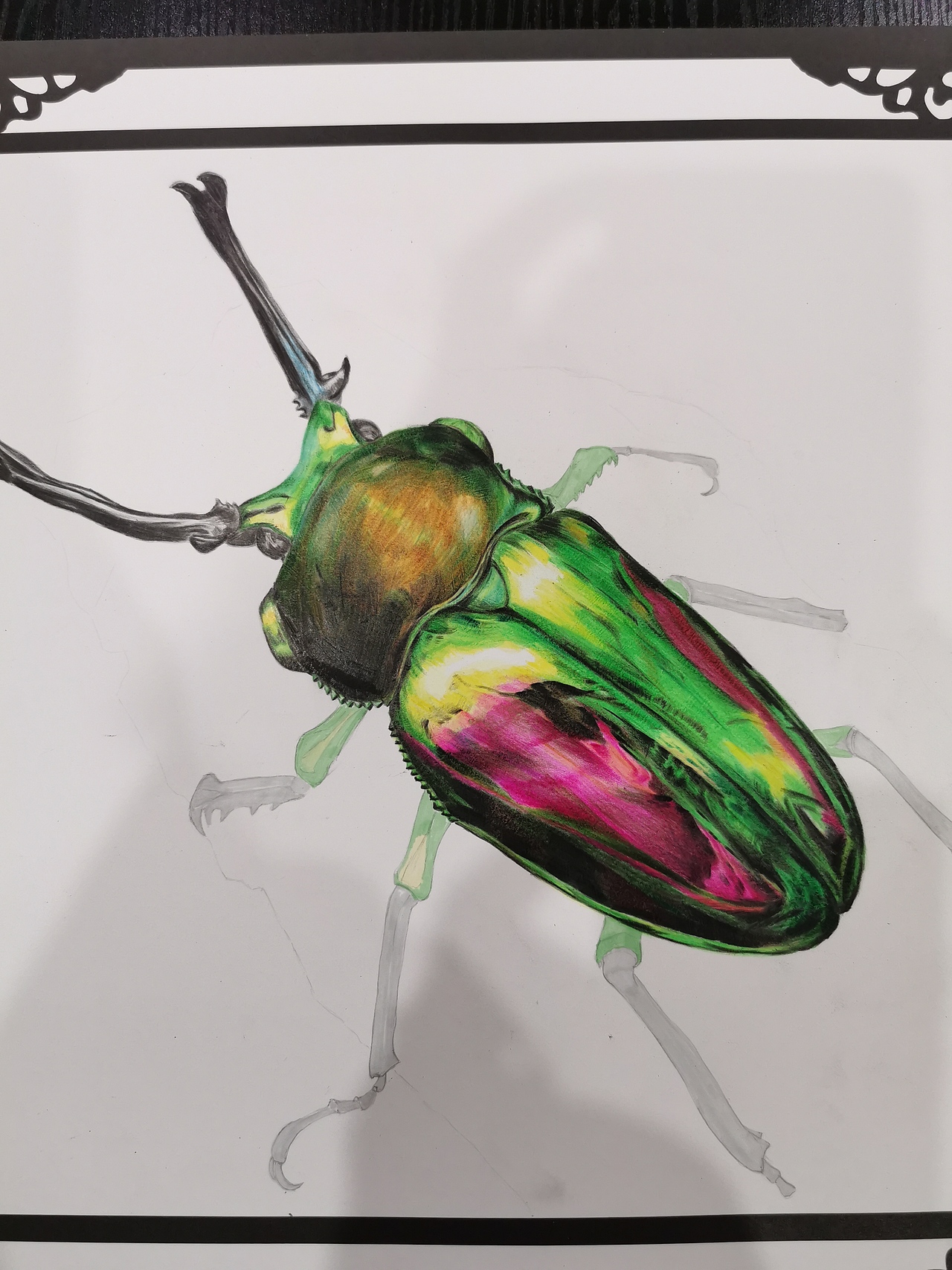 彩铅习作 彩虹锹甲