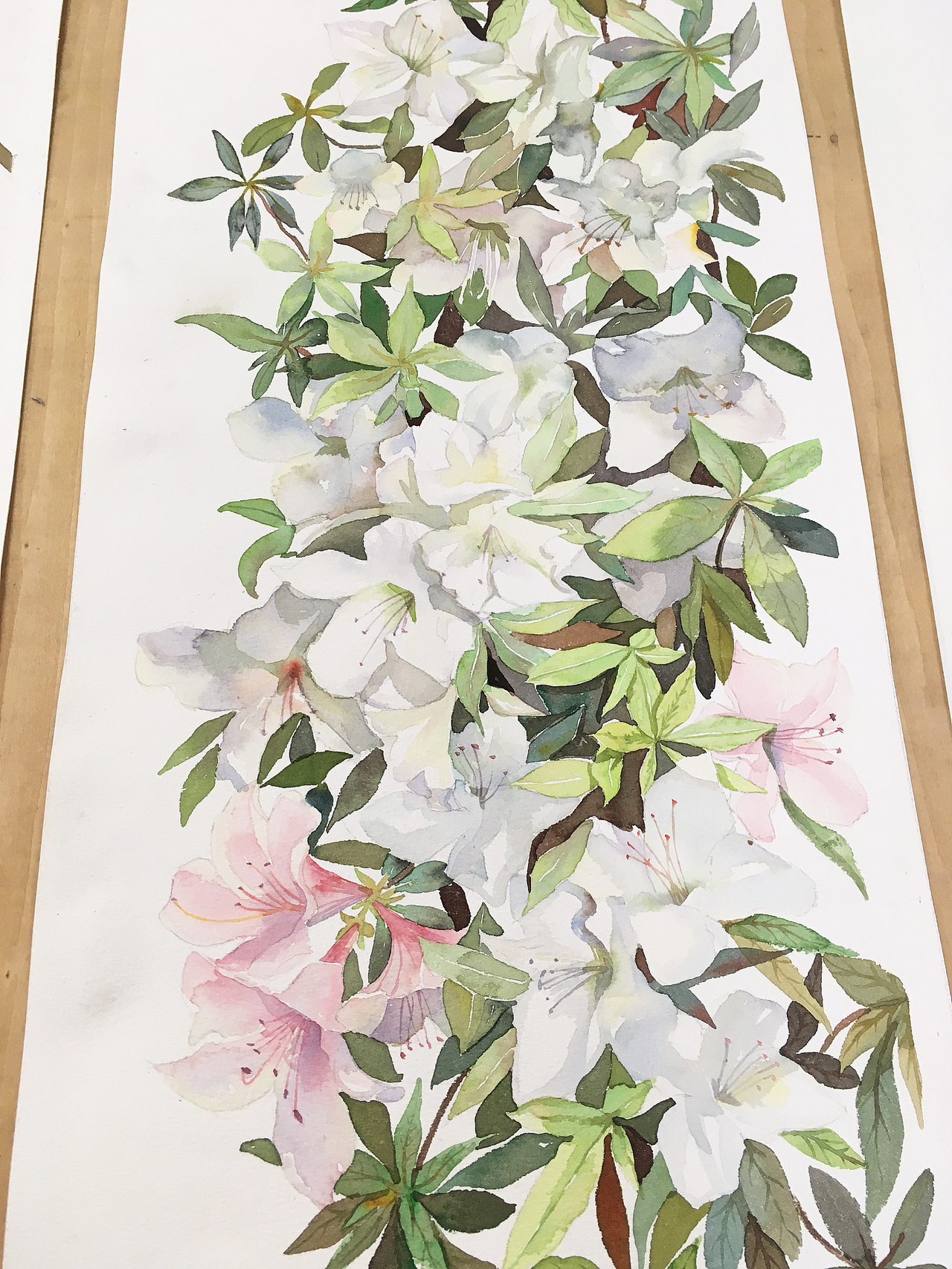 水彩花卉，装饰画（图ZNzgwMTI3ODQ=） - 艺术插画 - 站酷设计师儿童插画师原创素材 - 站酷ZCOOL