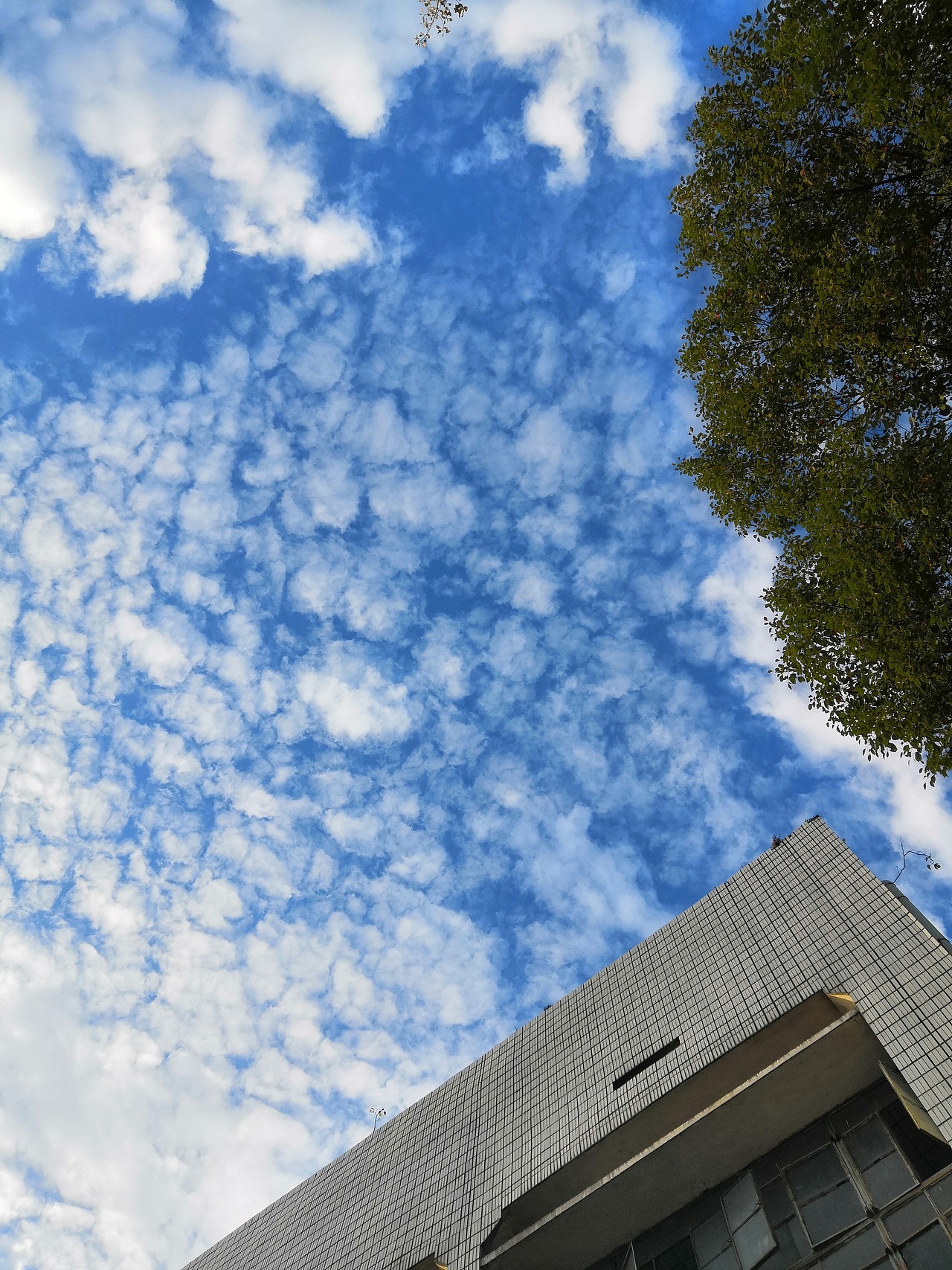 都是用手机拍的喜欢就关注一下吧嘻嘻