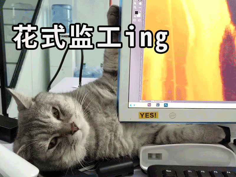 微信表情包“肥云麻将篇”，麻友们开台啦！（图ZMTY1MTUzNDQw） - 网络表情 - 站酷设计师Cathy2原创素材 - 站酷ZCOOL