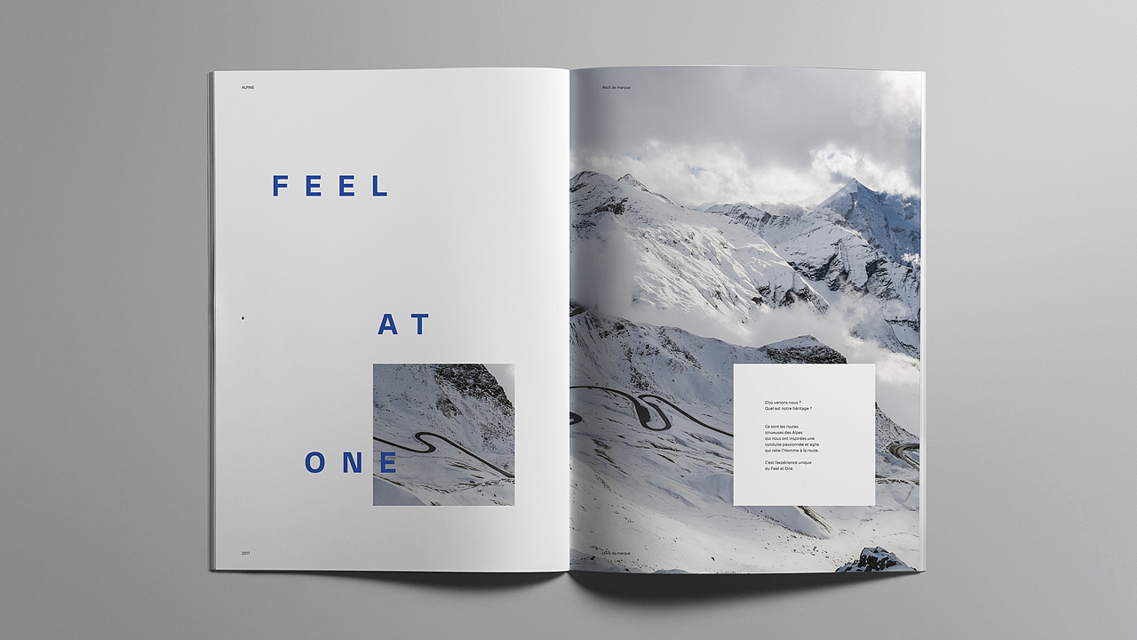 ALPINE Brand Book（图ZOTI0NjYwMjQ=） - 书籍/画册 - 站酷设计师Niico原创素材 - 站酷ZCOOL