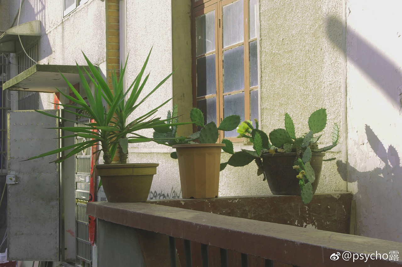 和你共度的时光（图ZMTQ4MTM2MTU2） - 风光摄影 - 站酷设计师psycho露原创素材 - 站酷ZCOOL