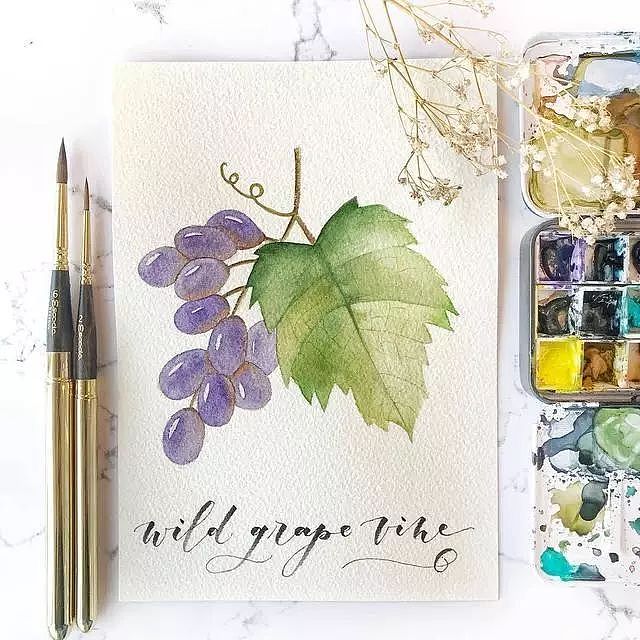 适合初学者临摹水彩素材—树叶（图ZMTY4NDc2ODky） - 艺术插画 - 站酷设计师豚骨汤面原创素材 - 站酷ZCOOL