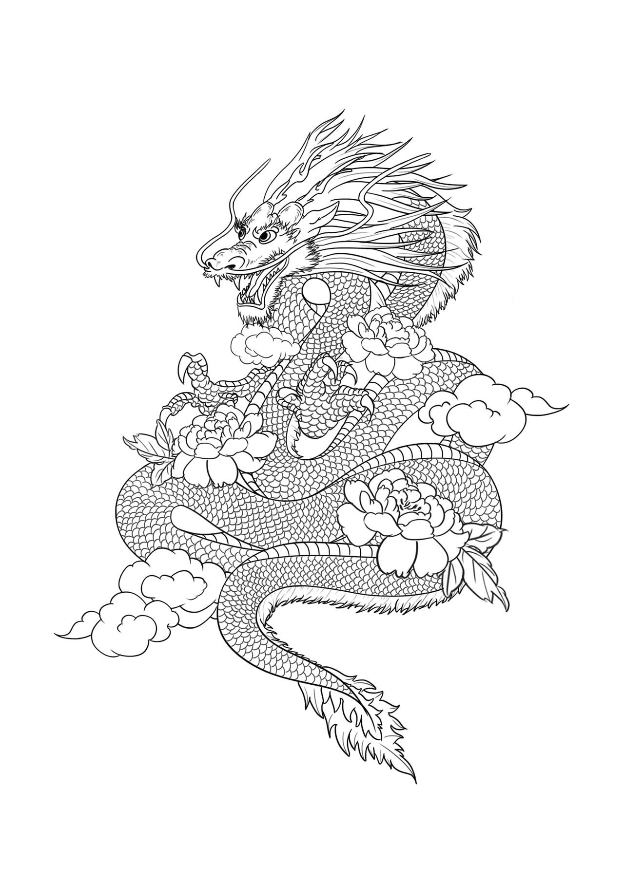 龙·插画（图ZMjQyNzYwMDUy） - 创作习作 - 站酷设计师薯条少吕原创素材 - 站酷ZCOOL