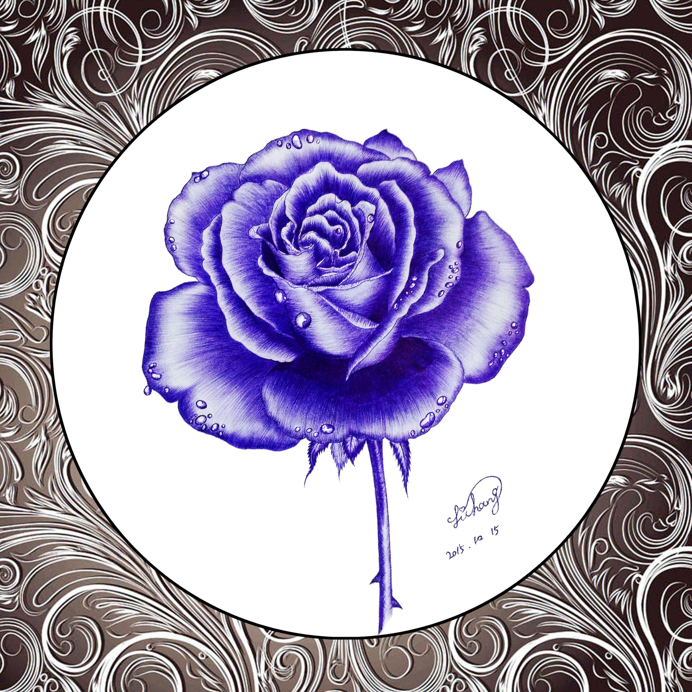 玫瑰|插画|创作习作|afluency喵 - 原创作品 - 站酷 (zcool)