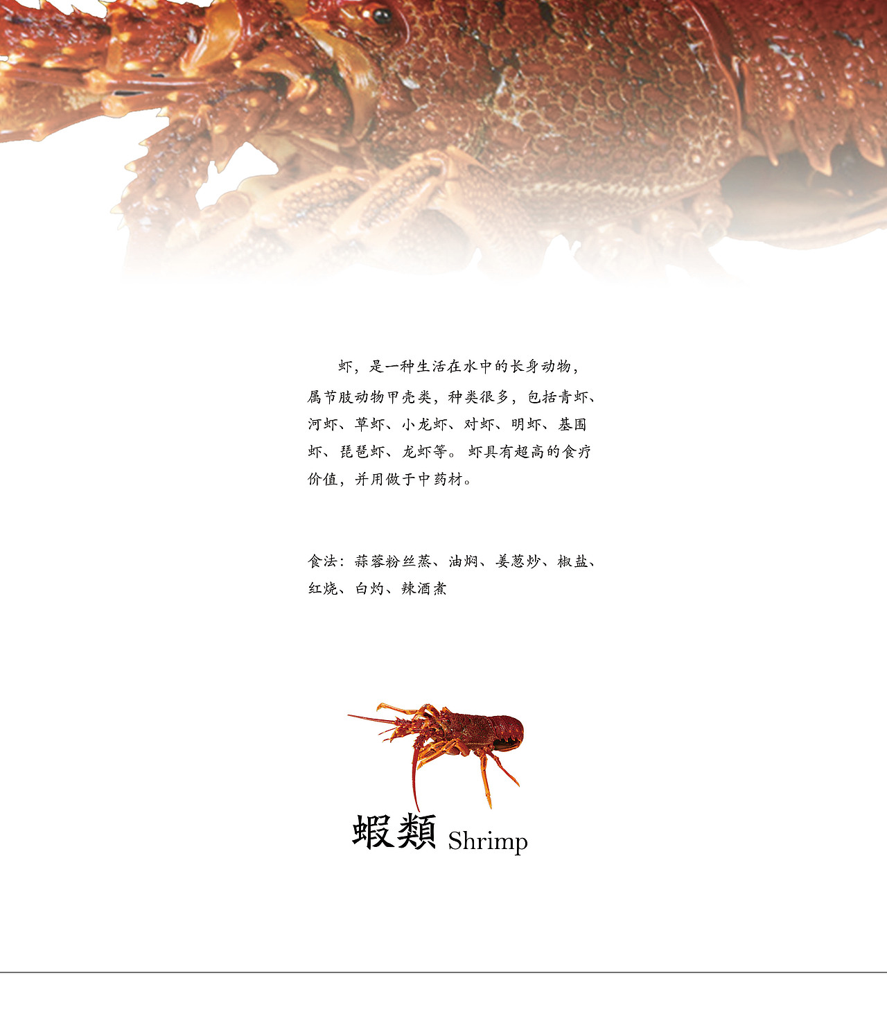 知行大厦海鲜单（图ZOTUzODk0NjQ=） - 书籍/画册 - 站酷设计师午睡虫原创素材 - 站酷ZCOOL
