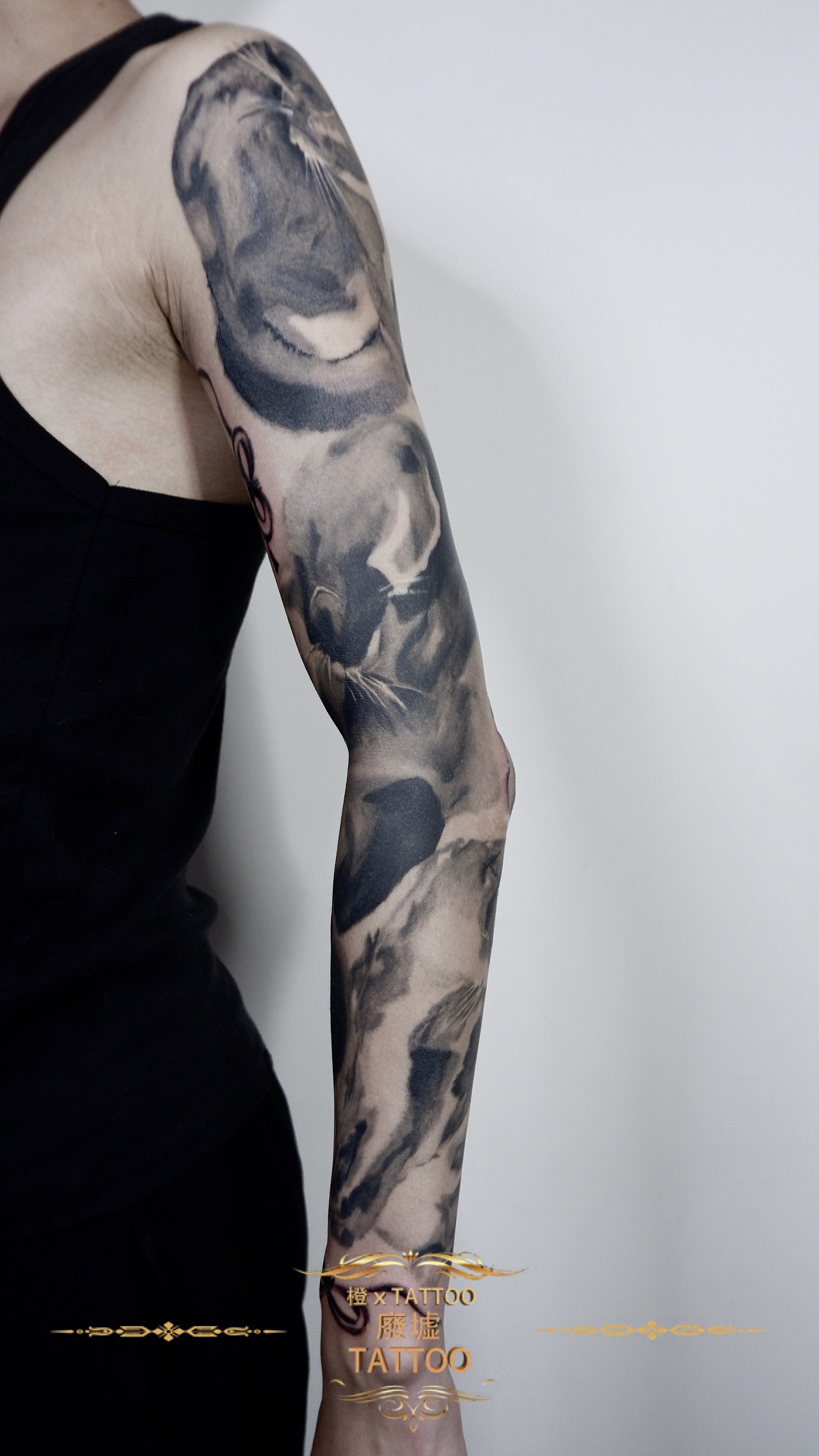 昆明纹身 水墨猫花臂 废墟刺青|纯艺术|国画|废墟刺青 - 原创作品