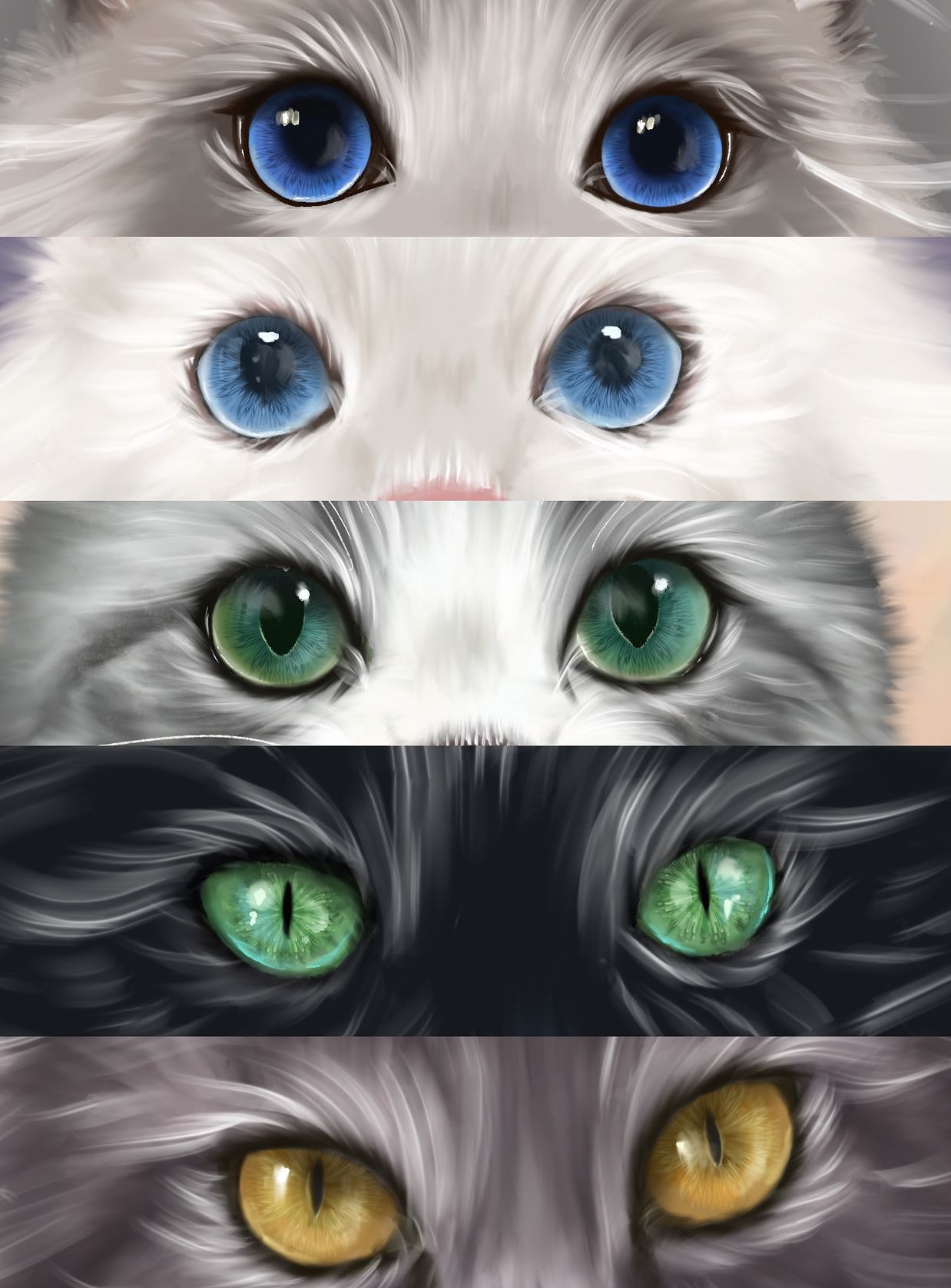 猫咪眼睛绘画总结