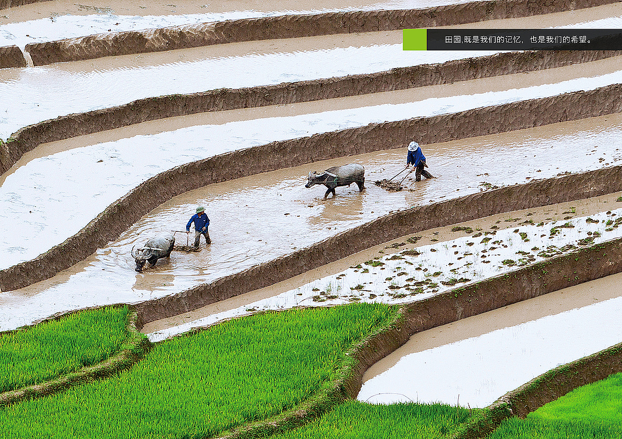 公园设计|主题公园设计|湿地公园设计|动物园设计（图ZMTc5MjkwODgw） - 展陈设计 - 站酷设计师品牌设计Calvin原创素材 - 站酷ZCOOL