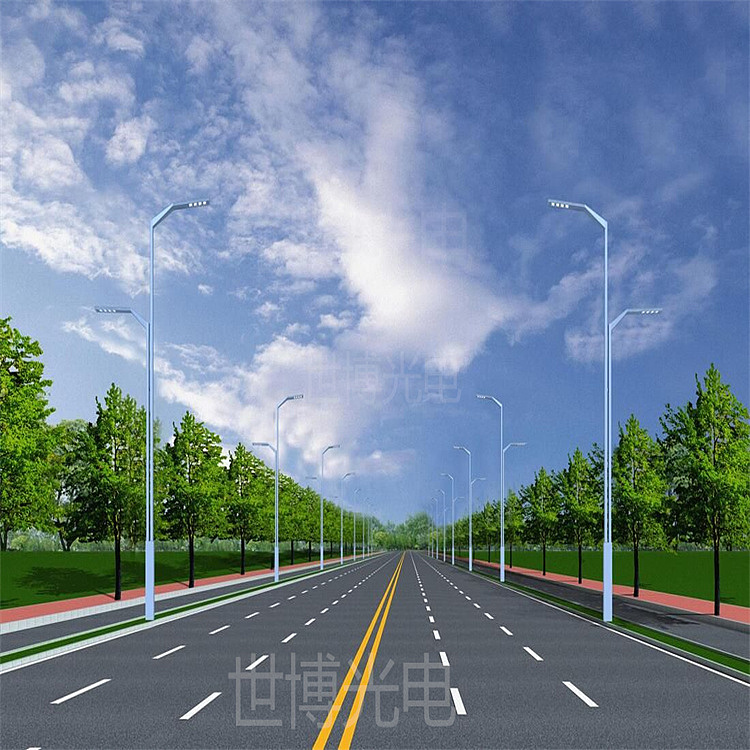 12米双臂路灯户外个性路灯杆造型高低臂不规则路灯厂家