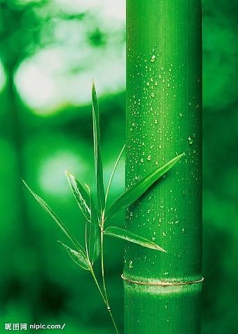 做好自己！（图ZODc4NDU3NzY=） - 风光摄影 - 站酷设计师H豪哥G原创素材 - 站酷ZCOOL