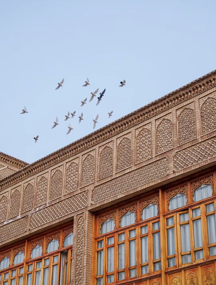 你改变不了阴影在哪里,但你可以选择在有阳光的地方。