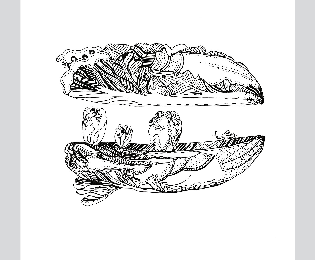 白菜(二十）（图ZOTI5NDEzNTI=） - 商业插画 - 站酷设计师石头小小原创素材 - 站酷ZCOOL