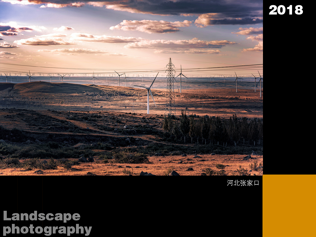 2020崔先生个人摄影作品集（图ZMjEzOTY1NDM2） - 其他摄影 - 站酷设计师咸鱼崔原创素材 - 站酷ZCOOL