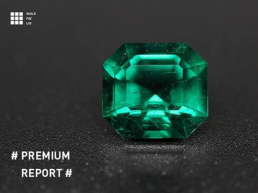#Folio# Premium Report（III）