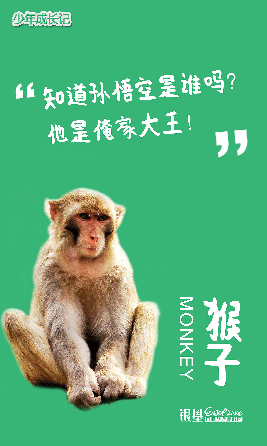 银基动物王国海报