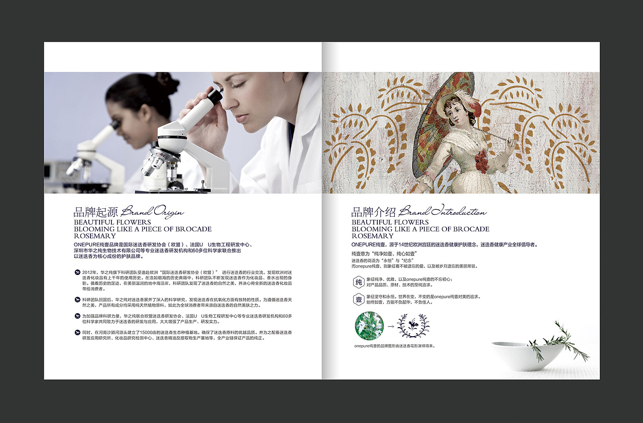 品牌建立，品牌设计，全案整理，品牌策划，包装设计