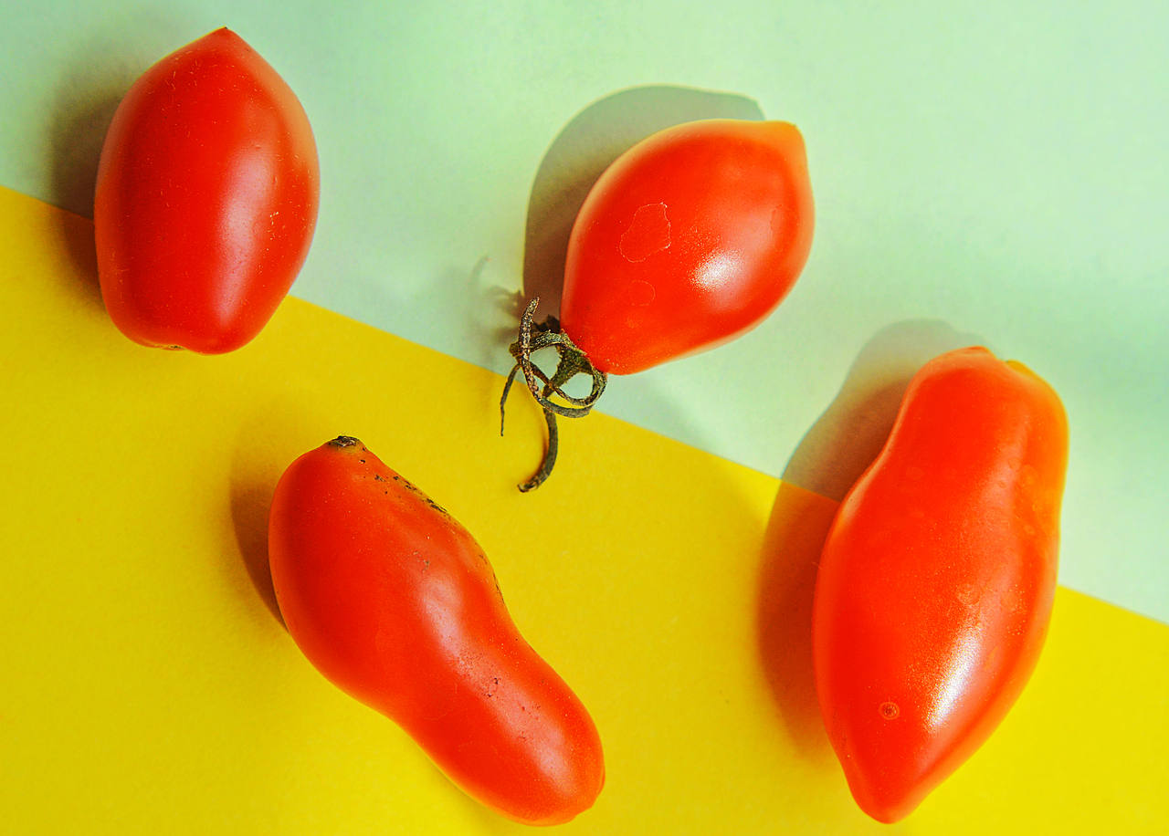 第一次微距攝影 真心愛了（圖ZMjA2MDExMTA4） - 風(fēng)光攝影 - 站酷設(shè)計(jì)師心尚善原創(chuàng)素材 - 站酷ZCOOL