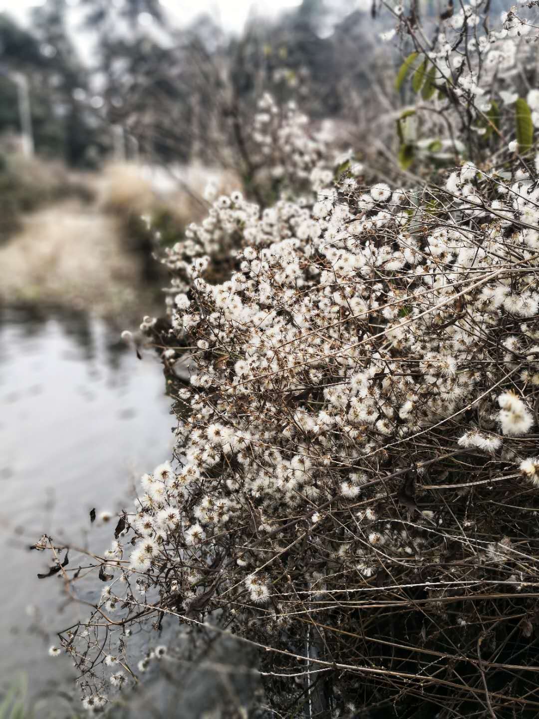 青駱的個人主頁（背景預(yù)覽） - 主頁背景設(shè)置 - 站酷設(shè)計師青駱原創(chuàng)素材 - 站酷ZCOOL