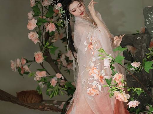 芙蓉花