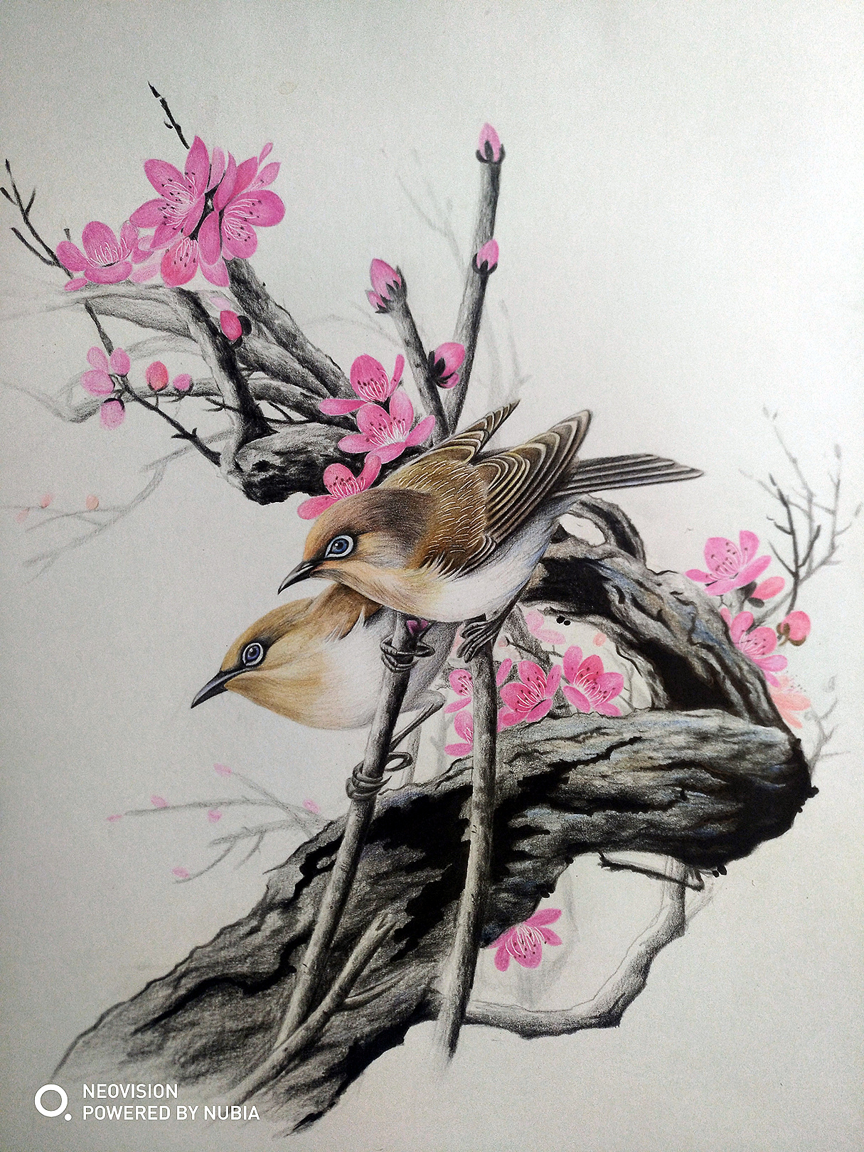 在天愿作比翼鸟|纯艺术|彩铅|难得糊涂 - 原创作品 - 站酷 (zcool)